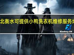河北衡水可提供小鸭洗衣机维修服务地址在哪