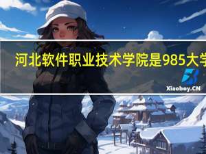 河北软件职业技术学院是985大学吗
