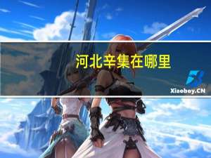河北辛集在哪里