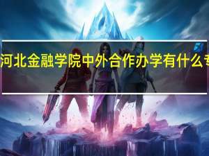 河北金融学院中外合作办学有什么专业吗