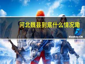 河北魏县 到底什么情况嘞