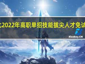 河北2022年高职单招技能拔尖人才免试如何录取？