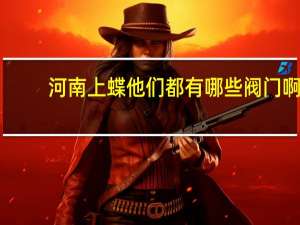 河南上蝶他们都有哪些阀门啊，好多人都说他们的阀门很好，我也不知道是不是真的