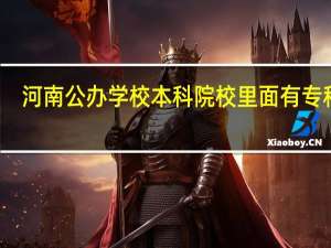 河南公办学校本科院校里面有专科的