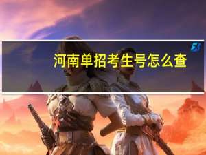 河南单招考生号怎么查