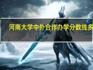 河南大学中外合作办学分数线多少