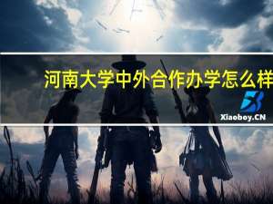 河南大学中外合作办学怎么样