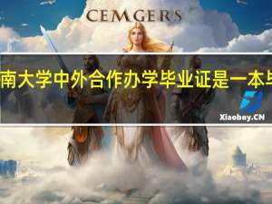 河南大学中外合作办学毕业证是一本毕业证吗
