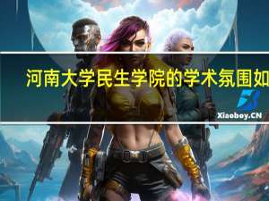 河南大学民生学院的学术氛围如何