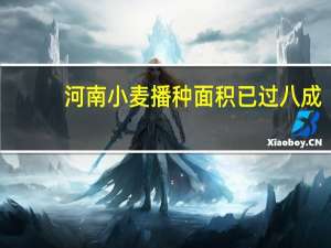 河南小麦播种面积已过八成