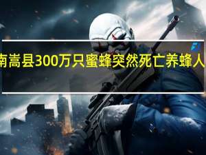 河南嵩县300万只蜜蜂突然死亡 养蜂人损失惨重，官方介入调查