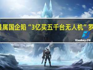 河南平舆县属国企陷“3亿买五千台无人机”罗生门当地纪监委：已收到举报