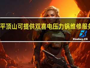 河南平顶山可提供双喜电压力锅维修服务地址在哪