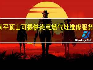 河南平顶山可提供德意燃气灶维修服务地址在哪