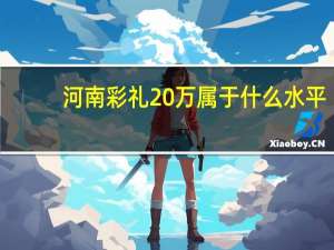 河南彩礼20万属于什么水平