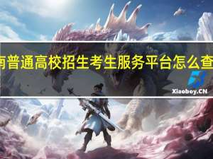 河南普通高校招生考生服务平台怎么查录取情况