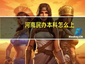 河南民办本科怎么上