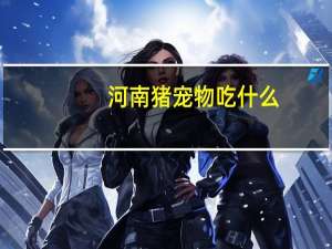 河南猪宠物吃什么