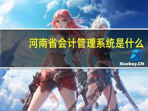 河南省会计管理系统是什么