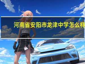 河南省安阳市龙津中学怎么样