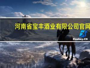 河南省宝丰酒业有限公司官网（宝丰酒业有限公司简介）