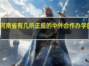 河南省有几所正规的中外合作办学的大学