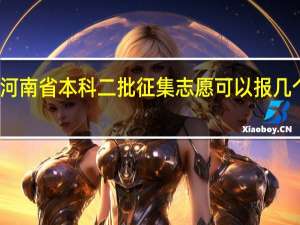 河南省本科二批征集志愿可以报几个志愿