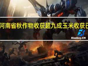 河南省秋作物收获超九成 玉米收获已达96%