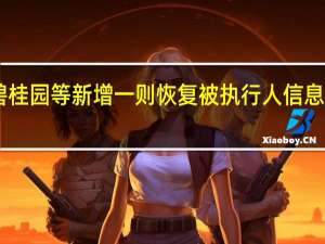 河南碧桂园等新增一则恢复被执行人信息 执行标的14.8亿余元