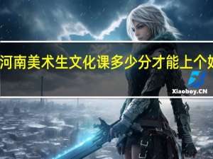 河南美术生文化课多少分才能上个好二本