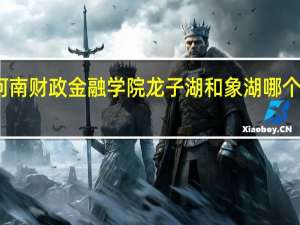 河南财政金融学院 龙子湖和象湖哪个校区好