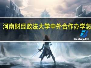 河南财经政法大学中外合作办学怎么样