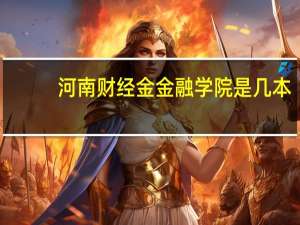 河南财经金金融学院是几本