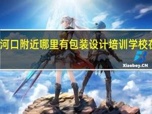 河口附近哪里有包装设计培训学校在哪里