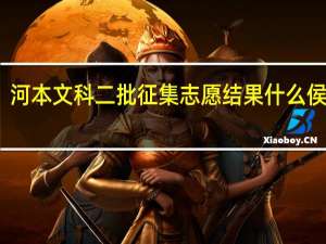 河本文科二批征集志愿结果什么侯能查