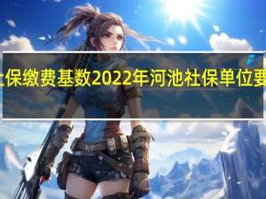 河池社保缴费基数2022年 河池社保单位要缴费多少钱
