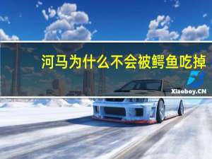 河马为什么不会被鳄鱼吃掉
