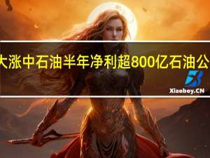 油价大涨中石油半年净利超800亿 石油公司业绩大增