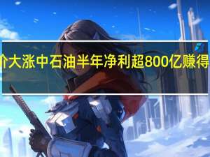 油价大涨中石油半年净利超800亿 赚得盆满钵满