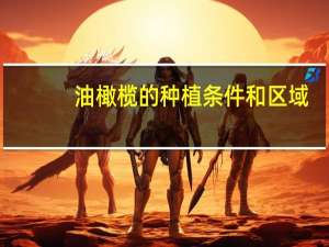 油橄榄的种植条件和区域