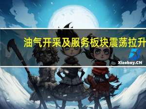 油气开采及服务板块震荡拉升