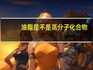 油脂是不是高分子化合物