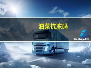 油菜抗冻吗