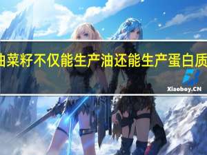 油菜籽不仅能生产油 还能生产蛋白质的来源
