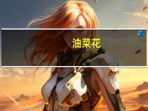 油菜花（关于油菜花的介绍）