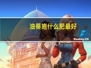 油葵施什么肥最好