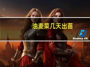 油麦菜几天出苗