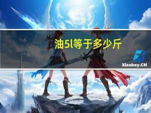油5l等于多少斤