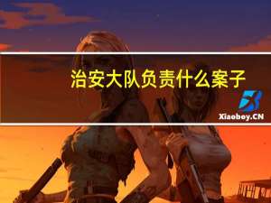 治安大队负责什么案子