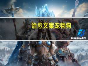 治愈文案宠物狗